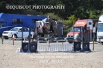 BPP_8034