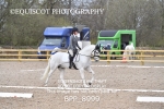 NOVICE 1 portfolio