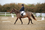 SBM_000495