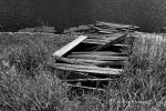Woodendock22-2BWl