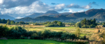 Ben Lomond from High Wards