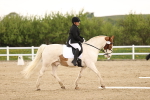 SBM_006527