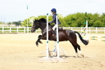 SBM_007755