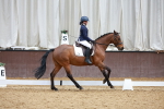 SBM_003231