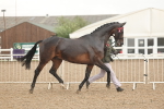 SBM_07728