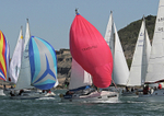 130601 DULCIBELLA GBR8046T IMG_6915