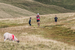 Sedbergh Hills-396