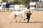 SBM_04533