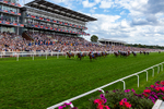 220826-Race 4-Daiquiri Bay-0454
