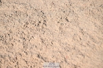 260731-094249-03259