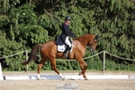 181-AMIRO_ISLAND-Harry_Meade-WEDTrotUp+DR portfolio