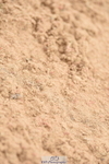 230813A-115508-12163