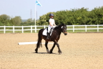 SBM_008223