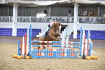 SBM_003390
