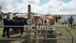 West Show_2014-15