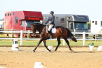 SBM_010602