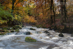 Rustic colours, Afon Clywedog