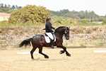 SBM_003636