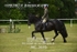 JAC_3676