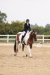 Class 9 - Novice 27 Champs portfolio