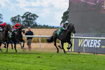 010826-Race 6-La Peregrina-3329