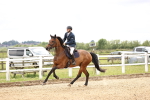SBM_008021
