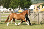 SBM_10443