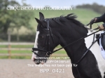 BPP_0421