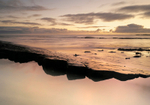 Low Newton