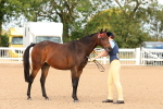SBM_10182