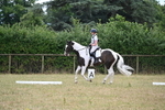 WJ6_5390