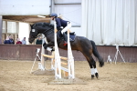 SBM_001667