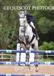 CLASS 7 Senior Foxhunter/ 1.20m Open portfolio