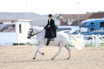 SBM_03254