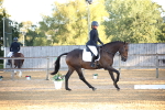 SBM_14613