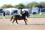 SBM_08811