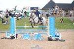 Cls 33 Horse of the Year Show 138cm Qualifier portfolio