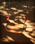 Swing in the Shadows