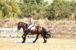 SBM_001487