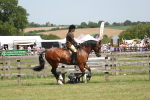SBM_06934