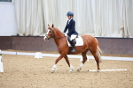 SBM_000667