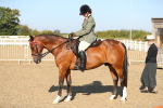 SBM_01210