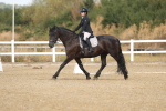 SBM_008268