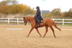 SBM_001809
