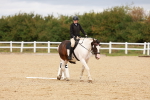 SBM_001468