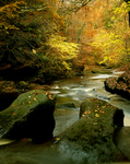 River Gelt
