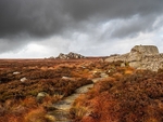 Barden Moor