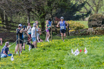 The Finish-2