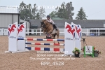 BPP_4528