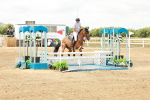 SBM_018311